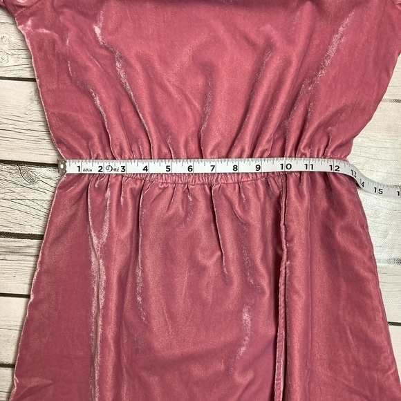 J Crew Factory Velvet Dress - Picture 6 of 12